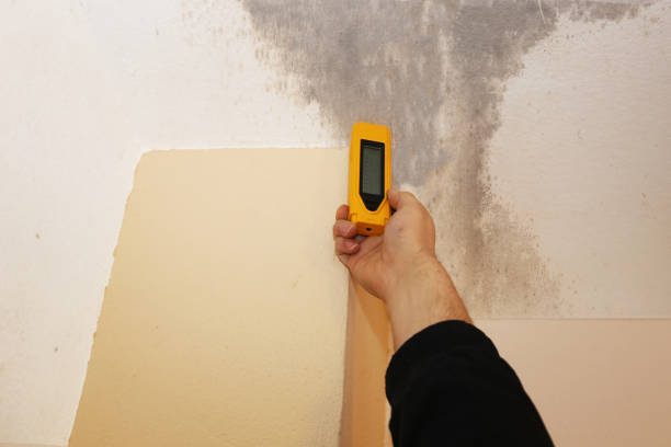 Mold Remediation for Rental Properties in Westby, WI